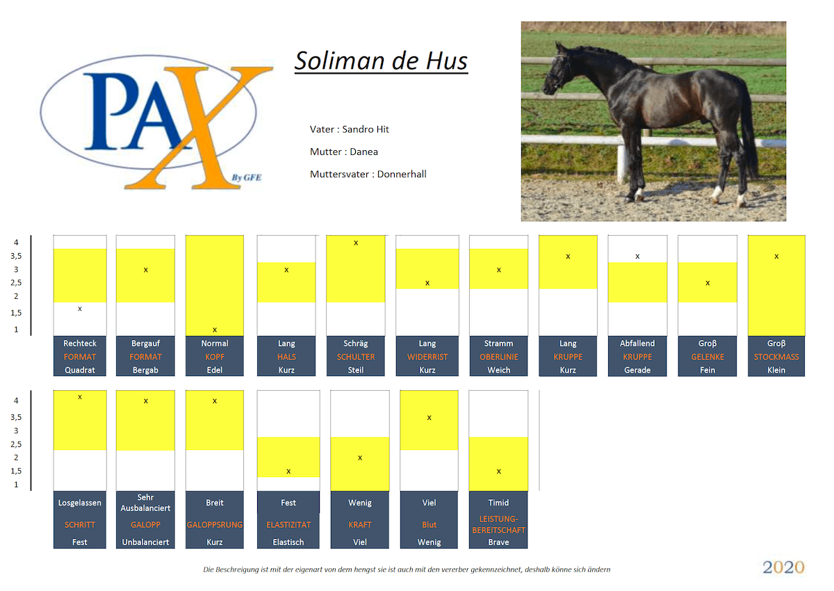 Groupe France Élevage - SOLIMAN DE HUS